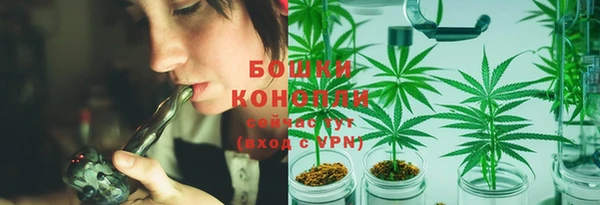 PSILOCYBIN Баксан