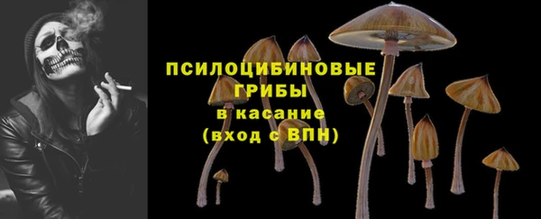 PSILOCYBIN Баксан